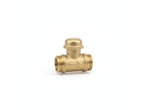 Brass Swing Check Valve, 1 in